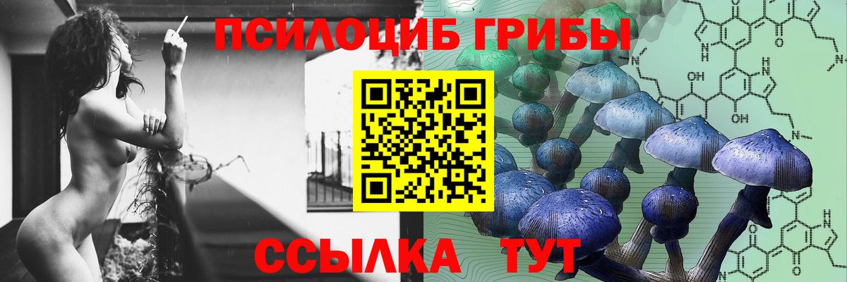 Псилоцибиновые грибы GOLDEN TEACHER Пушкино